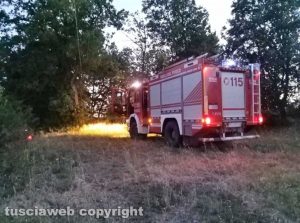 Incendio di sterpaglie - Vigili del fuoco sul posto