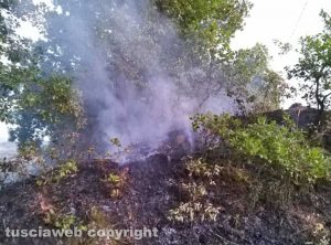 Montefiascone - Incendio di sterpaglie in località Paoletti