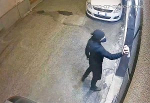 Tarquinia - Vandalizzata la sede della Lega di via XX Settembre