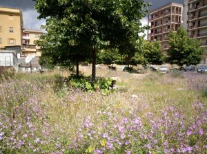Viterbo - Il parcheggio in via Aleramo