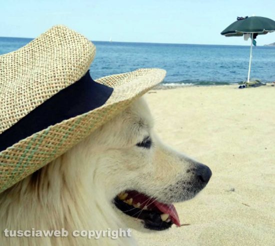 Whisky al mare... 