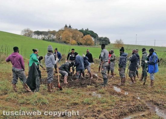 Celleno - Progetto Formarsi per scegliere