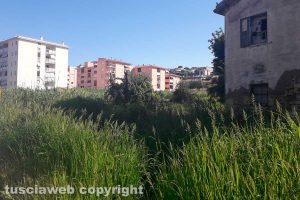 Tarquinia - Degrado nel terreno tra via Pertini e via Dalla Chiesa