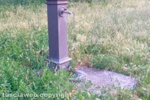 Viterbo - Incuria alla Grotticella