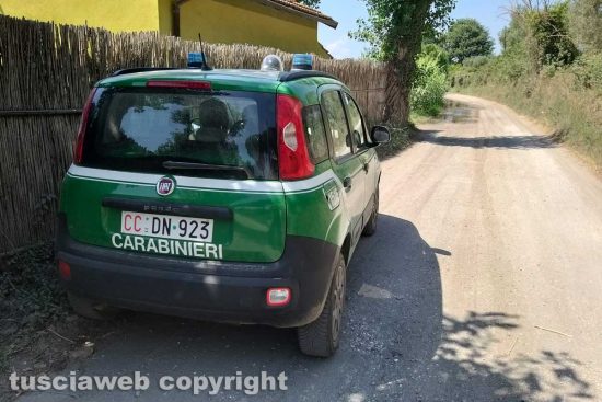 Montefiascone - Ex Cobalb, sversamenti sul lungolago - L'intervento dei carabinieri forestali