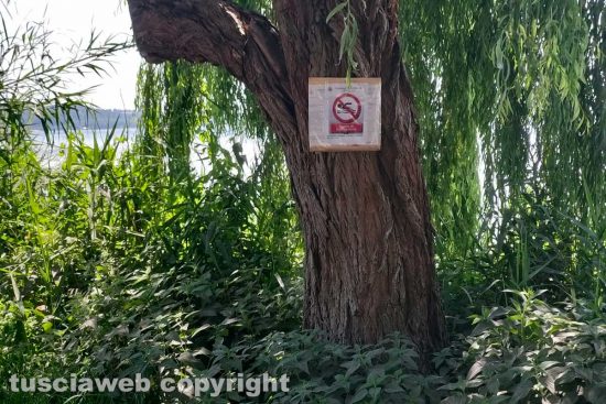 Montefiascone - Ex Cobalb, sversamenti sul lungolago - Il divieto di balneazione