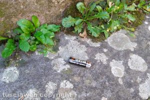 Montefiascone - Una pila abbandonata nel cimitero