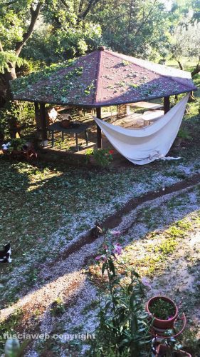 Grandinata a Viterbo