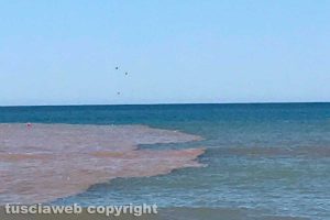 Tarquinia - La foce del Marta