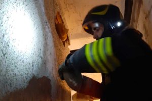 Gattino salvato dai vigili del fuoco
