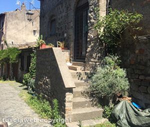 Viterbo - Erbacce a via della Salita
