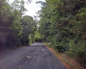 Carbognano - Strade invase dalla vegetazione