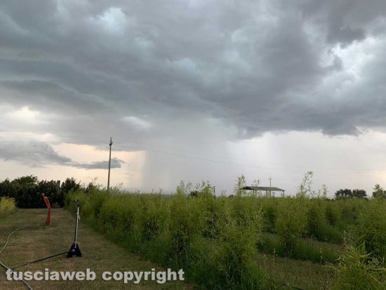 Viterbo - Pioggia in arrivo a Monterazzano