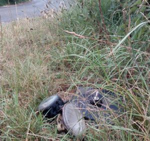 Carbognano - Strade invase dalla vegetazione