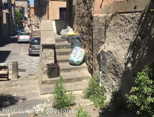 Viterbo - Erbacce a via della Salita