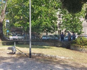 Viterbo - Pratogiardino Battisti