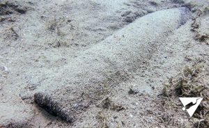 Gradoli - La bomba trovata nel lago di Bolsena