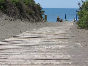 Pescia Romana - Spiaggia adiacente l'area di sosta camper