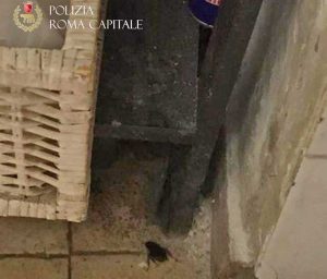 Roma - Il ristorante chiuso dalla polizia locale