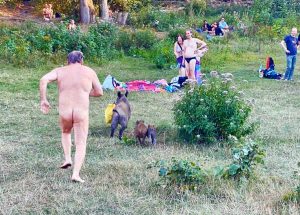 Il comico inseguimento del nudista