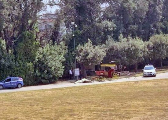 Reggia di Caserta, il cavallo di una botticella crolla a terra e muore