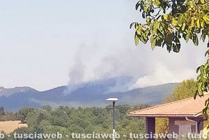 Vejano - Incendio boschivo