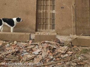 Viterbo - I danni della tromba d'aria in strada Rinaldone - Foto inviate da una lettrice