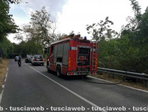 L'incendio in un bosco a San Lorenzo Nuovo