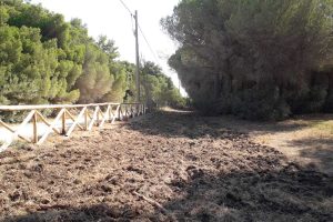 Tarquinia - I lavori dell'Università agraria