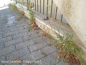 Montefiascone - Degrado al cimitero
