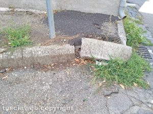 Montefiascone - Erbacce e mancata manutenzione in via Delio Ricci