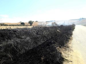 Incendio di sterpaglie alla Farnesiana