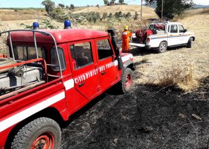 Incendio di sterpaglie alla Farnesiana