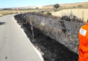 Incendio di sterpaglie alla Farnesiana