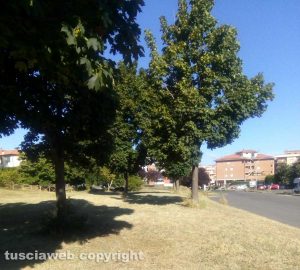 Ripulito il parco della Grotticella