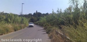 Viterbo - Strada Chiesa Nuova invasa dalle erbacce