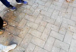 Viterbo - Guano di piccione al cortile di palazzo dei Priori