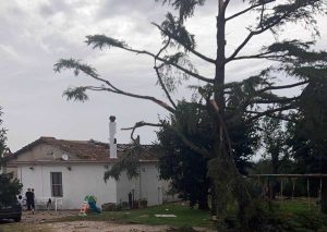 I danni del maltempo nella Tuscia
