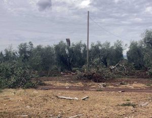 I danni del maltempo nella Tuscia
