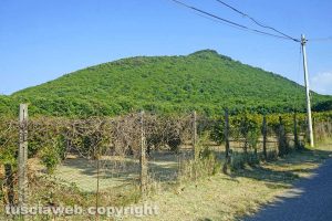 Viterbo - Palanzana