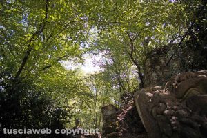 Bomarzo - Il sacro bosco - Parco dei mostri
