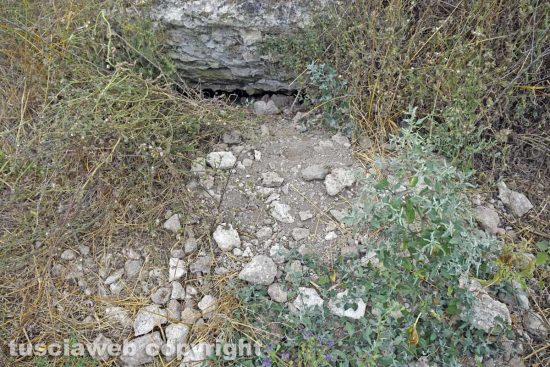 Viterbo - Gli scavi archeologici clandestini alle terme del Bacucco