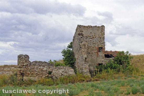 Viterbo - Il casalingo delle terme romane del Bacucco