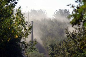 Biodiversità