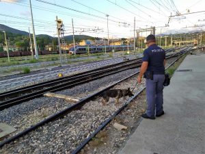 Terni - Controlli della polizia