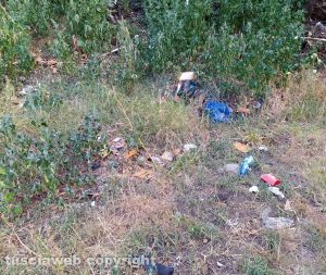 I rifiuti nell'area verde tra il Carmine e porta Faul