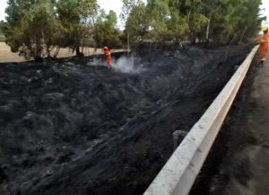  L'incendio a Tarquinia sulla Litoranea