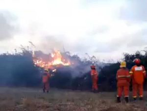  L'incendio a Tarquinia sulla Litoranea