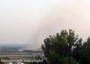 Vasto incendio a Tarquinia Lido