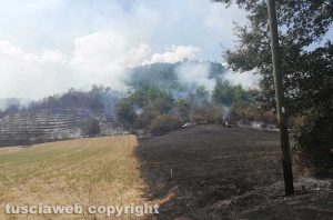Graffignano - Incendio in località Corniole